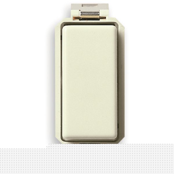 8000: 1-Way Switch, 1P, 10AX, 250V, 1 Module, White/Ivory