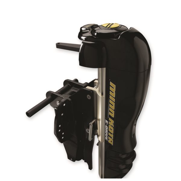 E-DRIVE ELECTRIC OUTBRD - Image 2