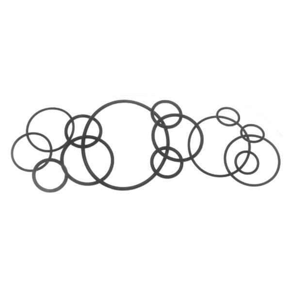 O-RING
