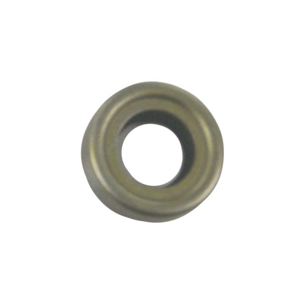 CHR/FORCE OIL SEAL
