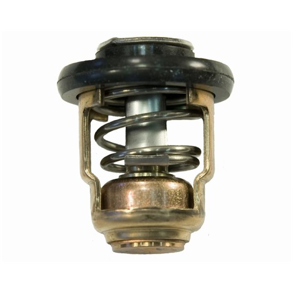 YAMAHA THERMOSTAT
