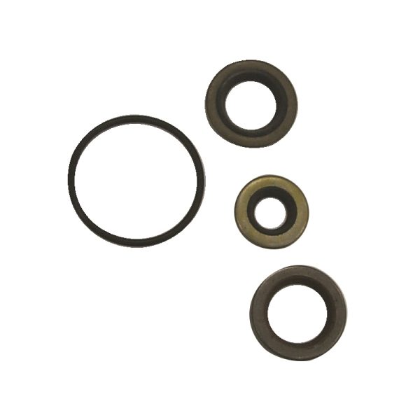 MRY CRANKCASE SEAL KIT