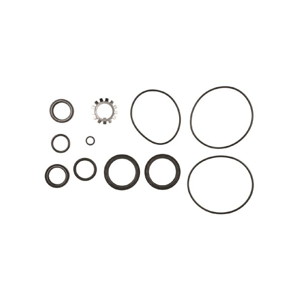 VOLVO LOWER SEAL KIT