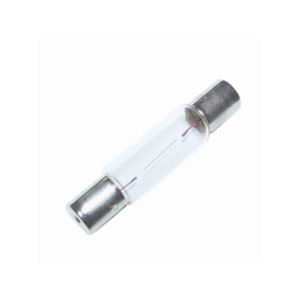 BLB 12V 10W F/25 2/PK