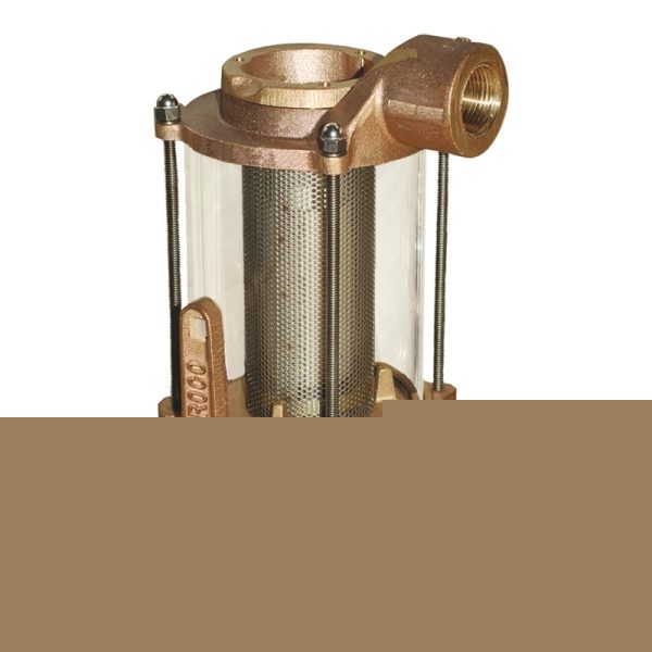 STRAINER /VALVE CMBO 1.0