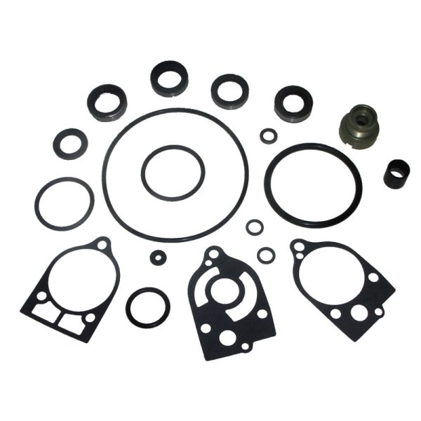 LOWER UNIT SEAL KIT