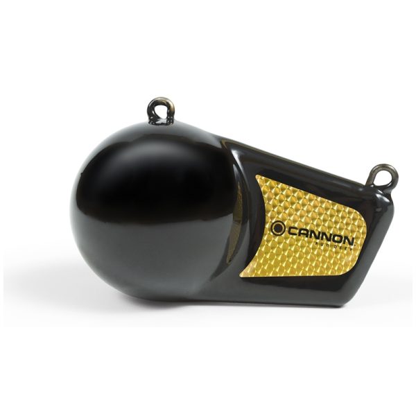 12 POUND FLASH WEIGHT